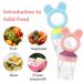 Baby Fruit Feeder Pacifier - 2 Pack BPA Free Silicone Fresh Fruit Feeder with Food Pouches (Blue & Pink) - Buy Online on SooperMarket.com
