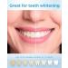 PHYLIAN Sonic Electric Toothbrush for Adults - 5 Modes - Fast Charge - Smart Timer - Black - Buy Online on SooperMarket.com