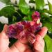 100g-200g Small Size Natural Red Aura Quartz Crystal Stone Geode Cluster 1pc Suitable for Home HOMEZHOU (Color : 1pc 145g-180g) - Buy Online on SooperMarket.com