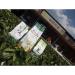Taiwan unique tea Paochong teas 150g*4 - Buy Online on SooperMarket.com