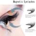 Lumentes Magnetic Eyelashes Lumentes Reusable Magnetic Eyelashes Magnetic Eyelashes Without Eyeliner Flawless Magnetic Eyelashes Eyelashes Magnetic Without Eyeliner Lashes Eyes Beauty (HPD06-4) - Buy Online on SooperMarket.com