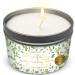 Magnificent 101 Manifesting More Money Than I Can Spend Tin Candle 6oz