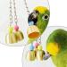 MANSHANGKJ Budgie Toy Interesting Bird Toy Interactive Bells Toy for Small Parrot Macaws Parakeets Love Birds (Random Color) - Buy Online on SooperMarket.com