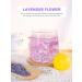 TeeLux Dried Lavender Flowers Tea Edible Caffeine Free Herbal Tea 114g Natural Fragrant Lavender Buds Use for Drinking Cooking Baking Essential Oil Lavender Bags or Satchets Lavender 114g (Pack of 1) - Buy Online on SooperMarket.com