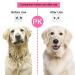Dual Purpose Self Cleaning Slicker Brush for Dogs and Cats - Removes Shedding Mats, Tangles, and Dirt - Improves Circulation - Pink - Buy Online on SooperMarket.com