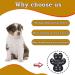 Buy VALFRID Anti-Slip Paw Protectors for Dogs - 24 Pieces Self-Adhesive Silicone Gel Non-Slip Dog Shoes & Socks for Small Dogs (S 3.3*3.9cm 0-5kg) - International Shipping Available - Buy Online on SooperMarket.com