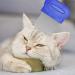 2 Pcs Cat Flea Comb Flea Comb for Cats Portable Tight Design Non Slip Handle for Long-Haired Cat Short-Haired Cat - Buy Online on SooperMarket.com