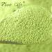 Plant Gift 100% Celery Powder 100G/3.25oz Non-GMO Powder No Filler No additives Natural Chinese Flour Adds Flavor and Taste Great Flavor for Drinks 2UK-PO0081 - Buy Online on SooperMarket.com
