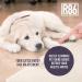 R86 Pet Odor Eliminator - Neutralize Litter Box & Carpet Odors, Skunk Spray, Air & Fabric Odor - Safe on Paws - Natural Granular Formula - Use Wet or Dry - Buy Online on SooperMarket.com