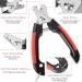 ZLXFT Nail Scissors for Dogs and Cats Rabbit Nail Scissors Stainless Steel Claw Clippers Claw Care Cutter for Pets Claw Care for Small Animals - Buy Online on SooperMarket.com