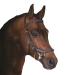 Horseware Rambo Micklem Deluxe Competition Bridle Colour and size selectable Brown M