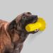 Shenrongtong Dog Toy for Teeth Grinding - Classic Sound Dog Toothbrush for Puppies | Veterinary-Approved Dog Dental Care | Ideal for Animal Shelters & Pet Shops - Buy Online on SooperMarket.com