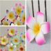 12PCS Hawaiian Plumeria Flower Hair Clips - Bohemia Foam Hairpins for Bridal Wedding Party Beach Holiday (Rose Red) - Buy Online on SooperMarket.com