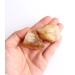 1PC Natural Raw Citrine Ore Crystal Rock Specimen Collection Home Decoration and DIY Gifts Fish Tank Stone Suitable for Home natural stone Brazil Citrine 15-30g - Buy Online on SooperMarket.com