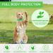 Cat Repellent Treatment Adjustable Cat Repellent Collars Natural Protection Repellent Collar for Cats Water Resistant Repellent Collar for Cats Small-Medium-Large Green 1pack - Buy Online on SooperMarket.com