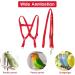 Felenny Bird Dishes & Leash - Adjustable Outdoor Accessories for Scarlet Macaw Sun Conure and Nymphensittich - Anti-Bite Protection (Large Red) - Buy Online on SooperMarket.com