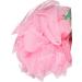 Buy Earth Therapeutics Rose Pink Hydro Body Sponge - 6 Pack | Best International Shipping & Quality Care - Buy Online on SooperMarket.com
