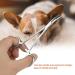 Pet Ear Locking Forceps Dog Ear Hair Puller Pet Groomers Scissor Dog Grooming Locking Tweezers Good Strong Animal Care Pet Groomers Tool(S) - Buy Online on SooperMarket.com