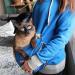 Men's & Women's Long Sleeve Kangaroo Pocket Hoodie Sweatshirt for Cats & Puppies - M Blue - Buy Online on SooperMarket.com