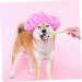 HAPINARY 1 Set Pet Toothbrush Pet Mouth Cleaning Tool Pet Dog Toothbrush Cat Toothpaste Tools Pets Pp - Buy Online on SooperMarket.com