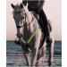 FM2018XSL Horse Harness LED Breastplate - Luminous Reflective Belt for Equestrian Safety | Outdoor Horse Riding Gear - Bright Yellow - Buy Online on SooperMarket.com