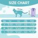 Avont Katzenbody - Post-Op Recovery Suit for Cats | Leak Protection Abdominal Wounds Skin Diseases | Size M - Lavender - Buy Online on SooperMarket.com