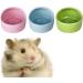 CAJHFIZHANGU 1pc Gradient Side Hamster Ceramic Bowl Hamster Food Bowl Ceramic Water Bowl Small Animal Water Bowl Anti-bite Small Animal Food Bowl Water Feeder for Rabbit Hedgehog Guinea-Pig Green - Buy Online on SooperMarket.com