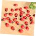 ABOOFAN 900 Pcs Car Decor Car Ornament Car Trim Decor for Car Model Car Decor Toy Decorate Potted Plant Succulent Plants Ladybug - Buy Online on SooperMarket.com
