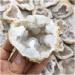 Natural Crystal Rough Natural White Agate Geode Slice Quartz Crystal Cluster MineralsCrystal Home Decoration for Decoration Stone Generator HOMEZHOU 2pcs - Buy Online on SooperMarket.com