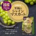 Nittoh Fruit Drink Mix Shine Muscat Grape Flavour (8 Sachets) 76g - Buy Online on SooperMarket.com
