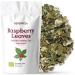 Raspberry Leaf Tea Organic 100g (50 Cups) | Rubus idaeus Pure Dried Loose Herbal Tea REPLANTEA