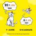 Buy Dreamies Mix Cat Snacks with Beef & Cheese - Crispy & Creamy Treats - 6 x 60g | International Shipping Available - Buy Online on SooperMarket.com