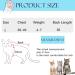 Cat Recovery Suit Cat Professional Recovery Suit for Abdominal Wounds or Skin Diseases After Surgery E-Collar Alternative for Cats Anti Licking Pajama Suit Kittesn Surgery Recovery Suit(Blue L Size) - Buy Online on SooperMarket.com
