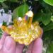 Natural Crystal Rough 1pcs Quartz Crystal Bismuth Silicon Cluster Rainbow - Buy Online on SooperMarket.com