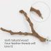 Kathson Parrot Perch Stand - Natural Wild Grape Paw Grinding Pole for Parakeet, Cockatiels, Budgies, Conure, Lovebirds | Bird Cage Accessories - Buy Online on SooperMarket.com
