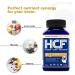 HCF Mind Boosting Supplement with Amino Acids Vitamins & Minerals for Improved Attention Focus Concentration and Cognitive Performance. (2-Pack) - Buy Online on SooperMarket.com
