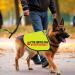 PTSD Service Dog Do Not Distract Dog Jacket Vest PTSD Service Dog Slogan Warning Vest PTSD Assistance Dog Alert Gift (PTSD Medium) PTSD M EU - Buy Online on SooperMarket.com