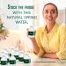 Dean Products Spring Water Bottles 24 Pack - Bottled Spring Water - Small 8 oz Mini Bottles - Bulk Pack - Buy Online on SooperMarket.com
