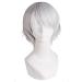MapofBeauty Cosplay Costume Men's Short Straight Wig (Silver Grey)