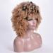 SHIYID Short Curly Blonde Afro Wig Heat Resistant Synthetic Wig for Women with Dark Roots Perfect for African American Hair - Buy Online on SooperMarket.com