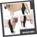 BELLIFFY Dog Foreleg Brace Puppy Knee Braces Dog Acl Brace Hind Leg Paws Pet Mesh Fabric Large Dog Elbow Pads S As Shown - Buy Online on SooperMarket.com