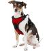 Littlearth NCAA Georgia Bulldogs Front Clip Pet Harness - Team Color - Large - Buy Online on SooperMarket.com