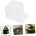BCOATH 3pcs Pet Water Feeder Ants Water Feeder Ants Nest Water Feeder Transparent Ants Feeding Cup Plastic - Buy Online on SooperMarket.com