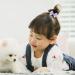20 Pieces Colored Elastic Hair Rope Hair Band with Bow Elastic Ponytail Band Cute Hair Styling Accessories Suitable for Playing and Shopping - Buy Online on SooperMarket.com