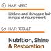 Novex Shampoo Conditioner and Hair Mask Bundle (Cacao & Almond) - Buy Online on SooperMarket.com
