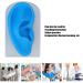 Silicone Soft Ear Model for Earrings Display with Stand - Practice Tool for Studs & Teaching - Realistic Imitation Ear - Buy Online on SooperMarket.com