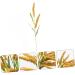 MAGICLULU Simulated Ears of Corn Artificial Wheat Ears Stalks Hand Decor Dry Wheat Grass Fruit Decor Home Decoration Wheat Decoration Wheat Ears Dried Flowers Paddy Iron Ornaments Golden 75.00X12.00X2.00CM - Buy Online on SooperMarket.com
