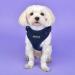 Puppia Ritefit Dog Harness for Small to Medium Dogs - Adjustable & Soft | Atani Train Crockery for Puppies - Navy XL - Buy Online on SooperMarket.com