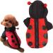 Shop Bagima Ladybug Dog Costume | Warm Hooded Sweater for Small Dogs | Perfect Halloween & Winter Outfit - Buy Online on SooperMarket.com