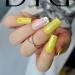 Didier Lab - Premium UV Gel Nail Polish - Brillant Neon No2- Gel Nail Varnish - Nail Art - Long-Lasting High Gloss Wear - Gel Nail Polish - Gel Nails - Glitter Gel Nail Polish - Rich Pigment - 8ml - Buy Online on SooperMarket.com